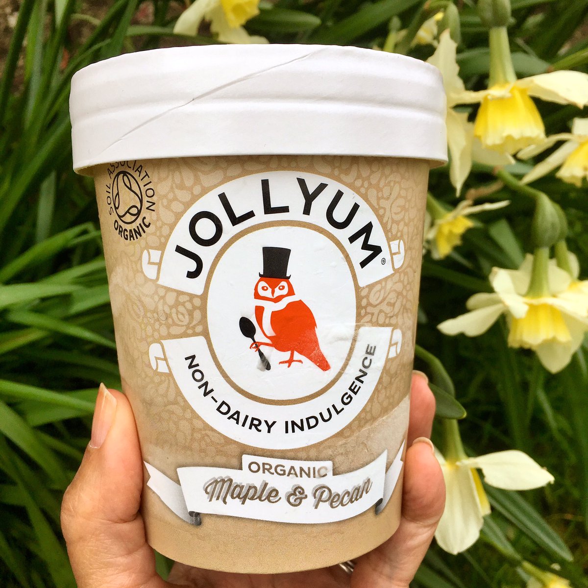 Jollyum 🍦 tweet media