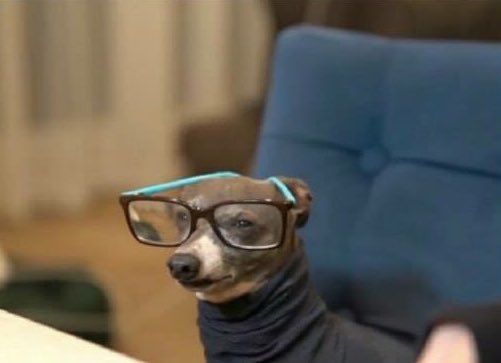 لما تكتب ف الامتحان "استنادا على ماسبق" او "بطبيعة الحال نستنتج"