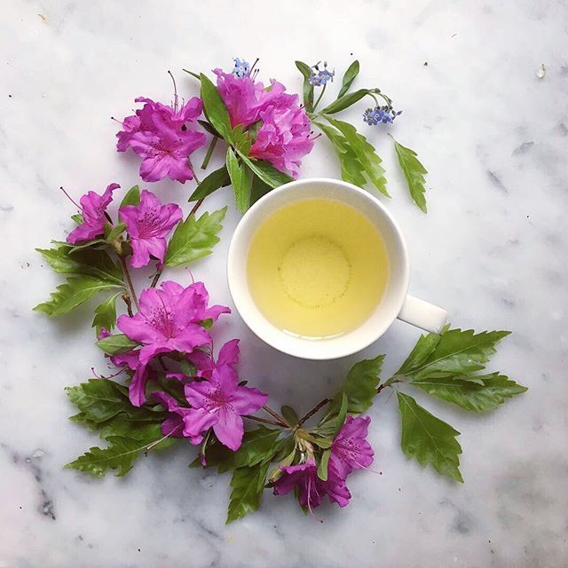 May your burdens be light &amp; your tea be STRONG (Like you 😘)
.
.
.
.
📷: @bottlebranch 
#bigtnyc #couturetea #teaandseasons #tealove #organictea #iamwellandgood #wellnesswednesday bit.ly/2USVYOF