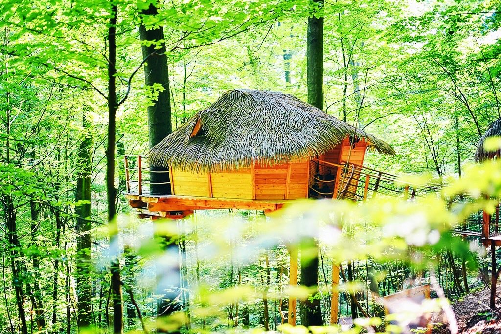 The only time you can really relax is up a tree or somewhere outside🌳💚🇸🇰lexikon.sk/noc-v-korunach… #treehousesk #treehouse #outdoorlife #naturelovers #nocnastrome #nocvkorunach #relaxinnature #forest #nocvlese #Slovakia #domceknastrome #trenciansketeplice #visitslovakia #lexikonsk