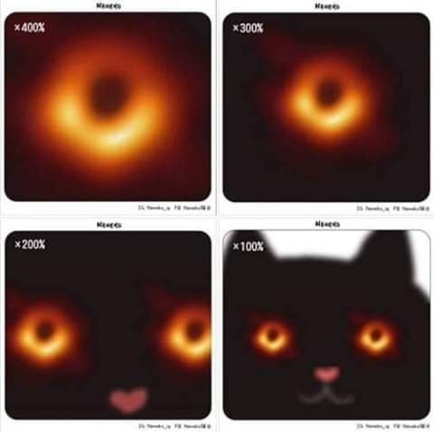 ブラックホール周辺の宇宙空間は実は猫 画像から新説が生まれ人々を納得させる どおりで吸い込まれそうになるわけだ Togetter