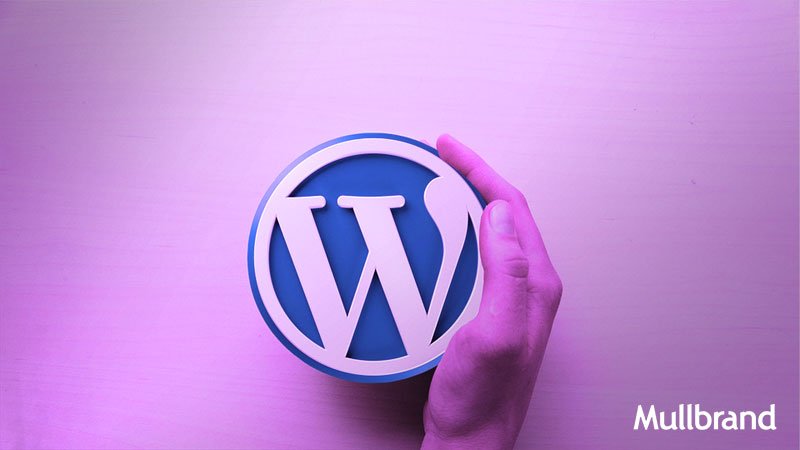 MULLBRAND's tweet photo. WordPress, razones para elegirlo sobre otros CMS https://t.co/VAZ2kkvCDy https://t.co/0wSC2SyiPX