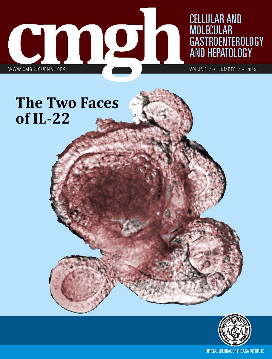 AGA_CMGH's tweet photo. Featured on our cover: The Two Faces of IL-22 https://t.co/BPFZOkG9Tz