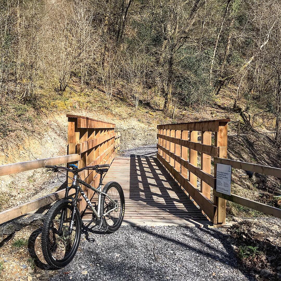 _mbspain's tweet image. Nice little solo blast around #Brechfa west, Barney is now flying down the hills (pretty good going up too) and these Mil-tec glasses do the job perfectly!  #mtb #wales #findyourepic #steelisrealmtb #steelisreal #hardcorehardtail #cotic #BFe #miltec #goggles #glasses