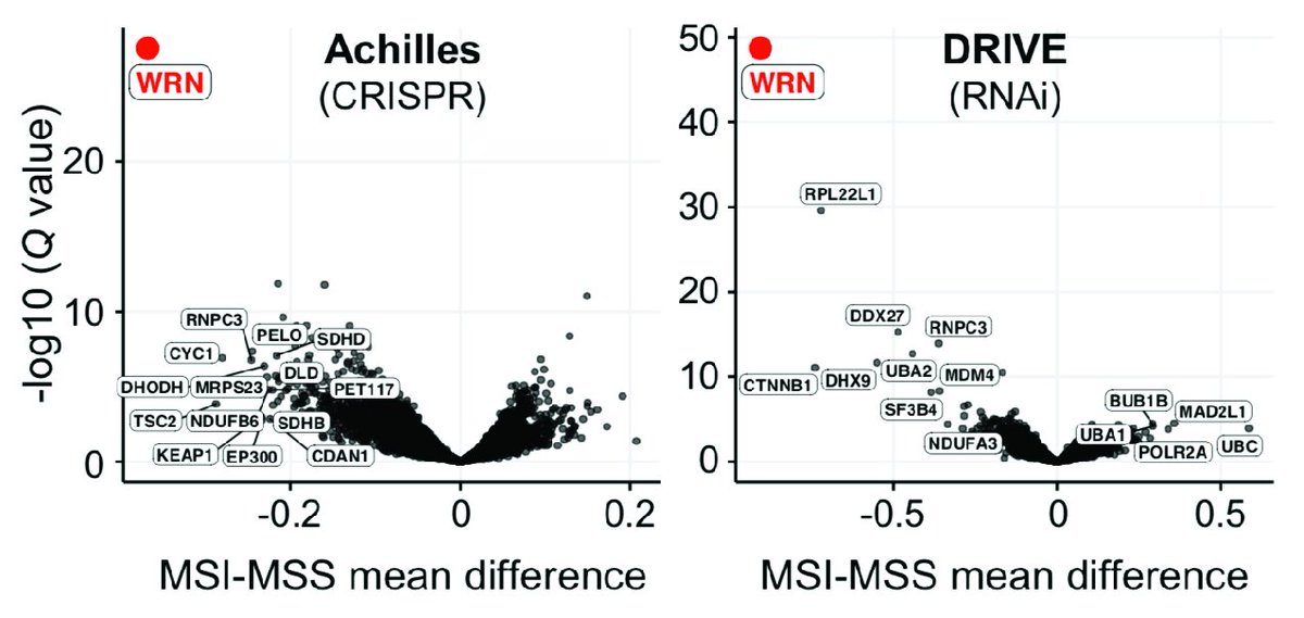 We’re excited to announce the release of a paper describing a new synthetic lethal target in MSI tumors as part of our GI Dependency Map! nature.com/articles/s4158…  #Cancer #DepMap