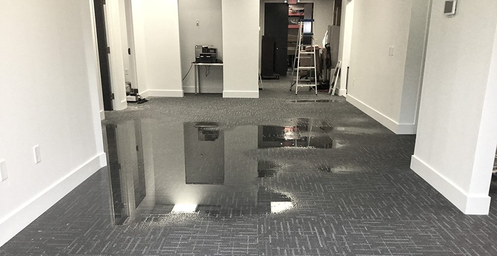 ServproWP's tweet image. Flooding and excessive moisture can easily lead to structural damage and destruction of personal property as well.
:
Learn more:
ow.ly/sFIK50pLd6Z
:
#waterdamage #waterdamagehelp #waterdamagefacts #waterdamagetips #waterextraction #waterdamagecompanies #waterdamageorlando