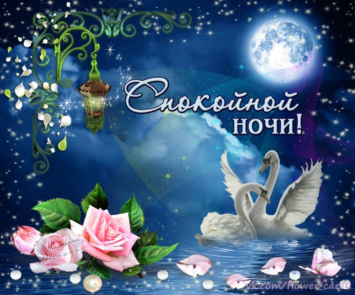 Открытки коллегам, самые красивые картинки с спокойной ночи