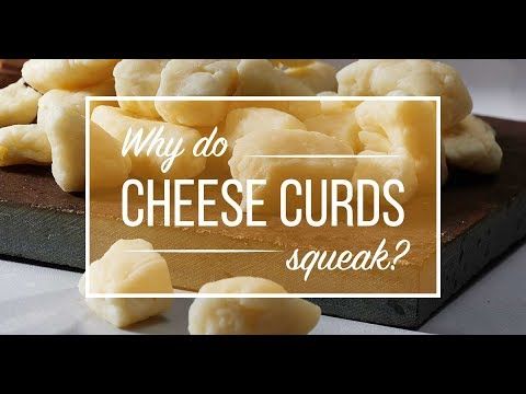 No other food makes the distinct noise a cheese curd does. But why do cheese curds squeak? Learn why here!

#cheese #food #dairygoodness #dairy
