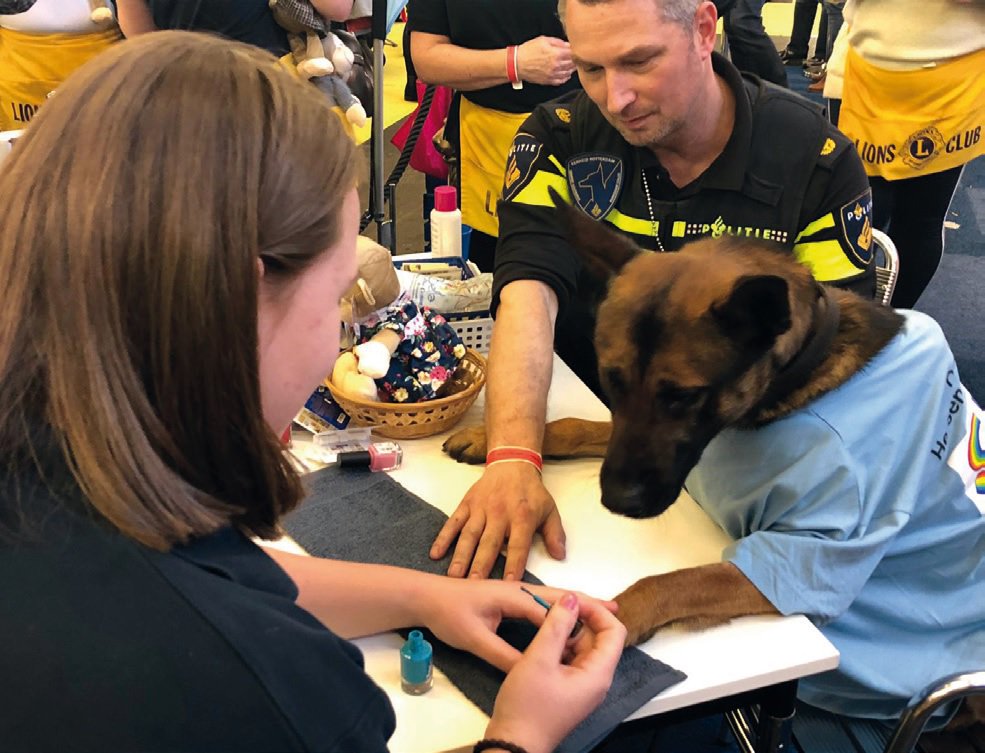 Politiehond wordt gelakt door Lions voor <a href="/Stichting_Semmy/">Stichting Semmy</a>.
Tijdens het landelijk actieweekend (12-13-14 april) wordt er middels leuke acties geld ingezameld voor onderzoek naar kinderkanker. Laat jij je ook lakken?
bit.ly/LIONmrt1901
#LAKdoorTijn #NagelsLakken #Kinderkanker