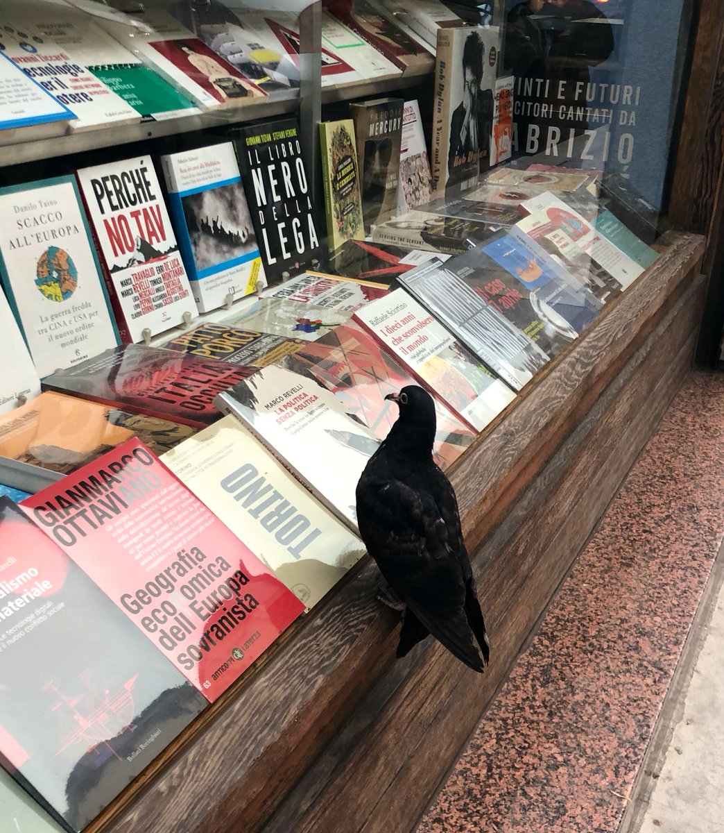 🐦 
A 
Torino 
leggono 
proprio tutti 
🐦