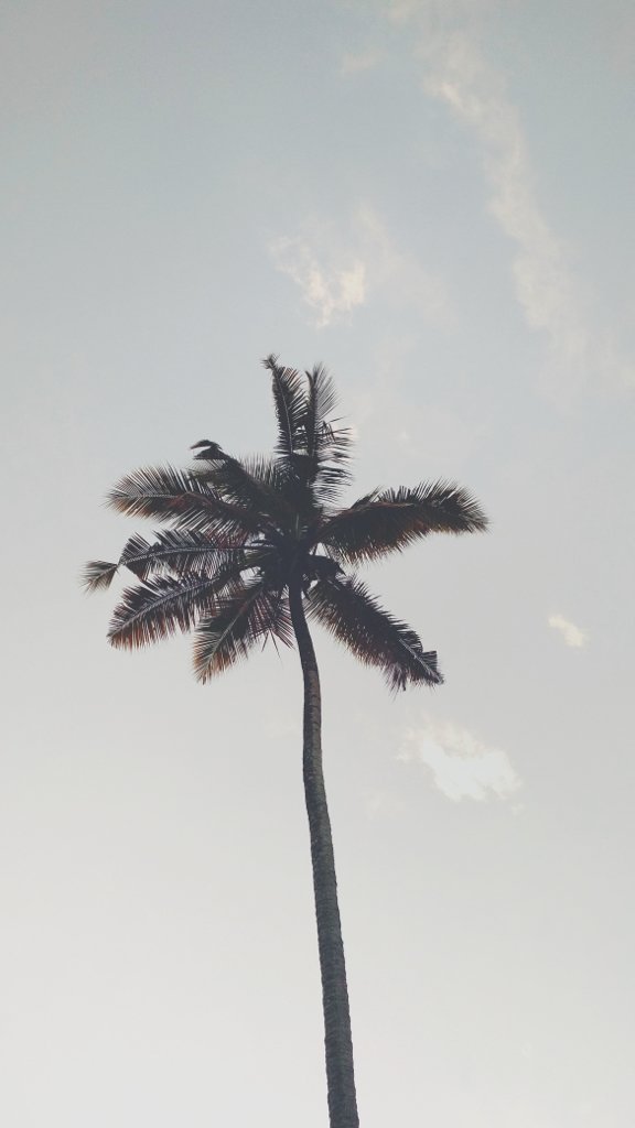 clementsauvage's tweet photo. Je viens d’enregistrer un épisode de #VCStories avec l’ami @mrclrnt (@keralavc) qui, selon toute vraisemblance ira visiter le Kerala bientôt 😊. Vous en saurez plus dans 15 jours ! https://t.co/1Btrse4MFV