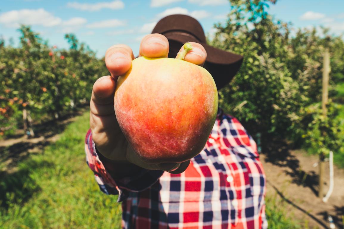 Willem&Drees tweet media