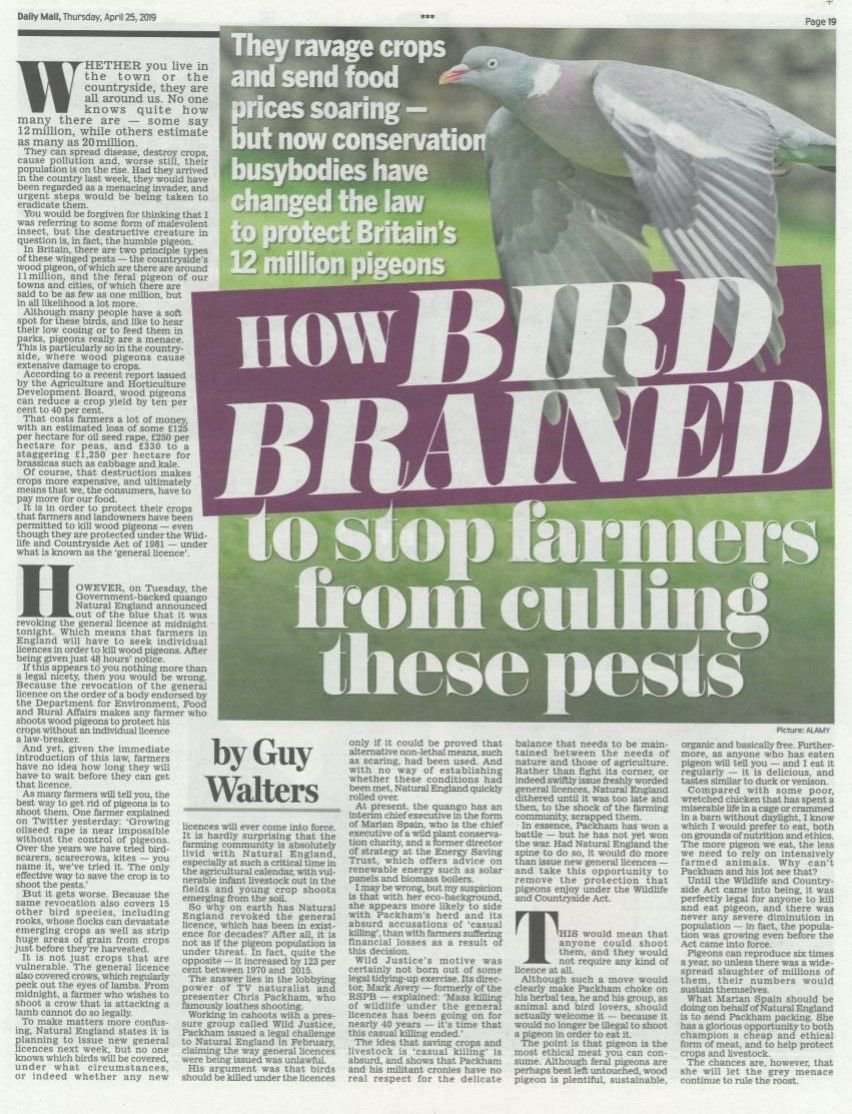 There's a full page article about <a href="/NaturalEngland/">Natural England</a>'s revocation of three general licences in today's @dailymailuk 

For the latest news and developments take a look at our dedicated webpage basc.org.uk/ne/