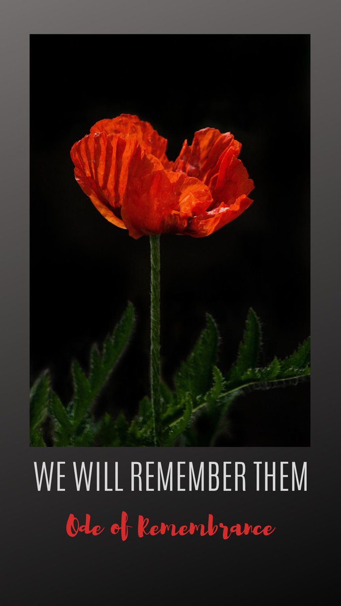 Catholic_Priest's tweet photo. "They shall grow not old, as we that are left grow old; Age shall not weary them, nor the years condemn. At the going down of the sun and in the morning, we will remember them." - #OdeofRemembrance #AnzacDay2019 https://t.co/g5Tp5celHY