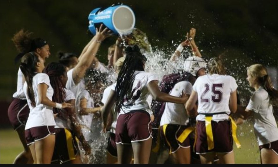Niceville Flag tweet media