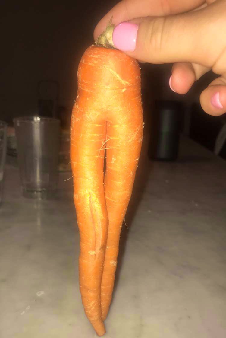 KaylaaScandalee's tweet photo. Carrot: Felt cute might go walk a runway later idk https://t.co/zQcgYzEEEj