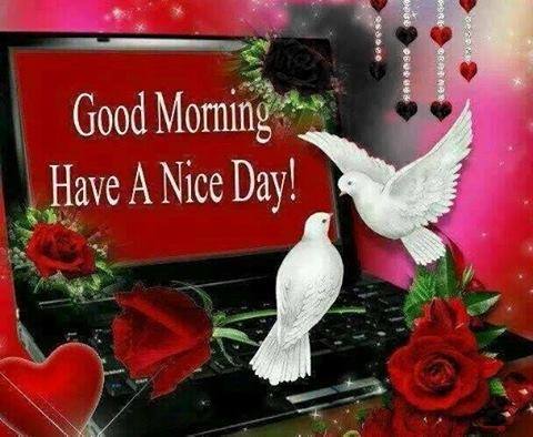 @itz_fathu @moni_jai @pravish_offi @priya_offi @VIMALUMAVATHI @SandhyaTwitz @CutieeAkshu @usha_twits @iam_strganesh @DazzlingSree27 Good Morning.....Fathima.  Have a nice day.