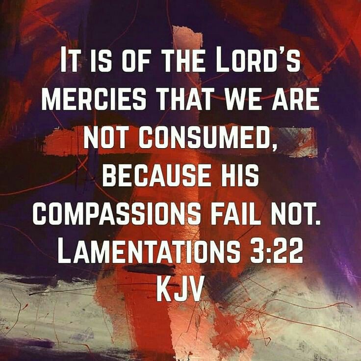 ReginahHope's tweet photo. It is of the Lord's mercies that we are not consumed, because His compassions fail not. (Lamentations 3:22) https://t.co/a5xEY6Kmzd