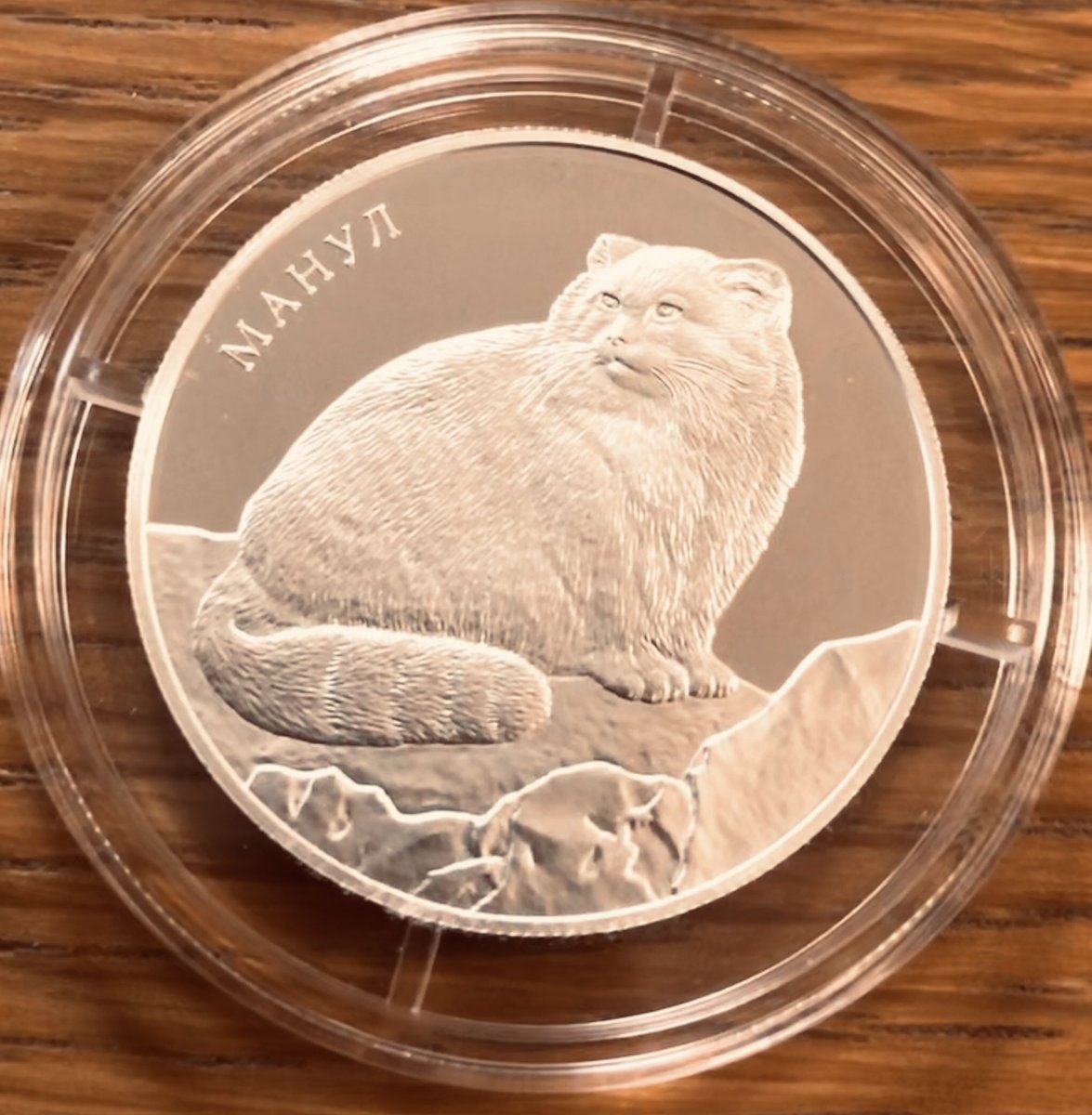 マヌルネコ銀貨届きました。ロシアの2ルーブルコイン。ロシアでも買えるのかな？「私がモデル？」by ポリー #マヌルネコ #コイン #那須どうぶつ王国