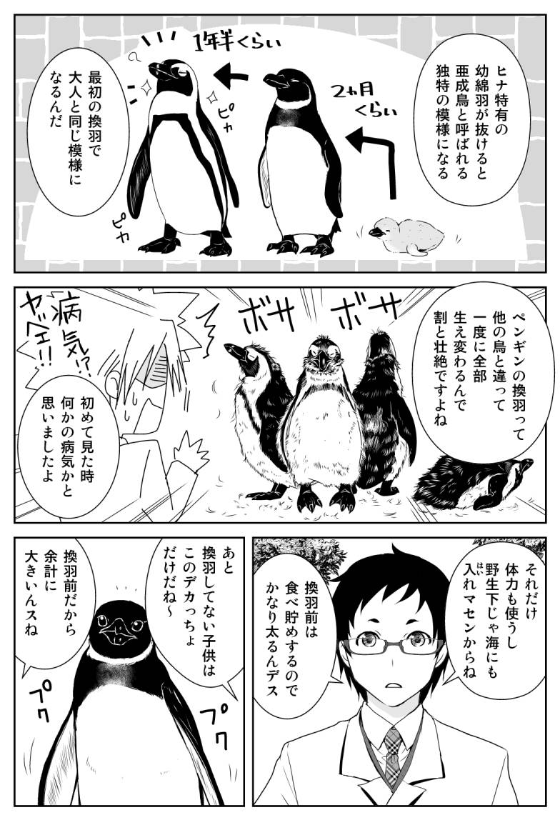 十月士也 路地迷宮のロージー3巻4月14日発売 以前の連載 椎名くんの鳥獣 とりけも 百科 ではペンギンやハシビロコウや鳥獣 をたくさん描いていました 10巻で完結しています 興味のある方はぜひ 十月士也 路地迷宮のロージー3巻4月14日発売 以前の連載 椎名くんの鳥獣 とりけも 百科 ではペンギンやハシビロコウや鳥獣 をたくさん描いていました 10巻で完結しています 興味のある方はぜひ