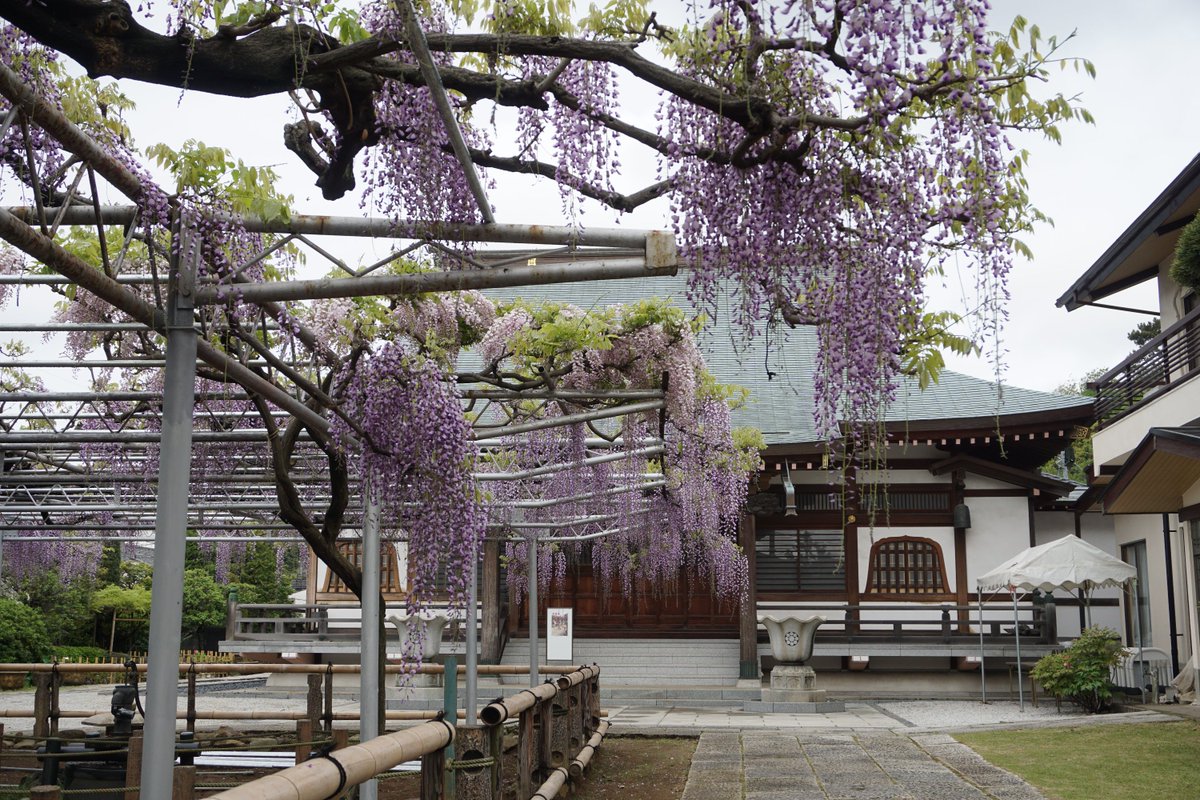 高圓寺 C6r84rirsazn1sk Twitter 高圓寺 C6r84rirsazn1sk Twitter