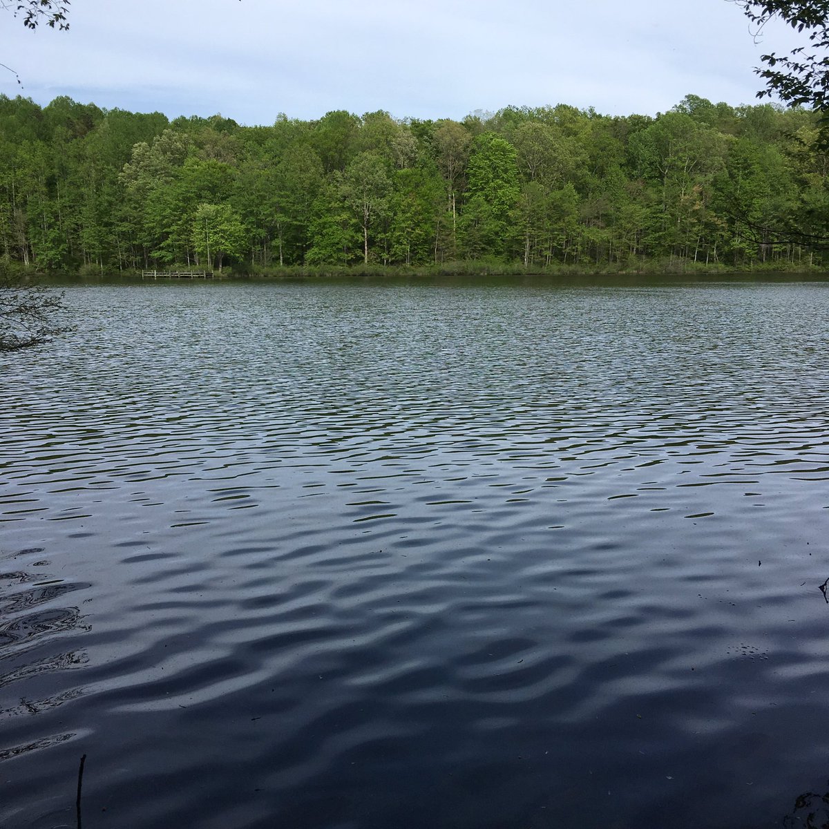 picture I took while running my favorite trail in the area 🏃🏻