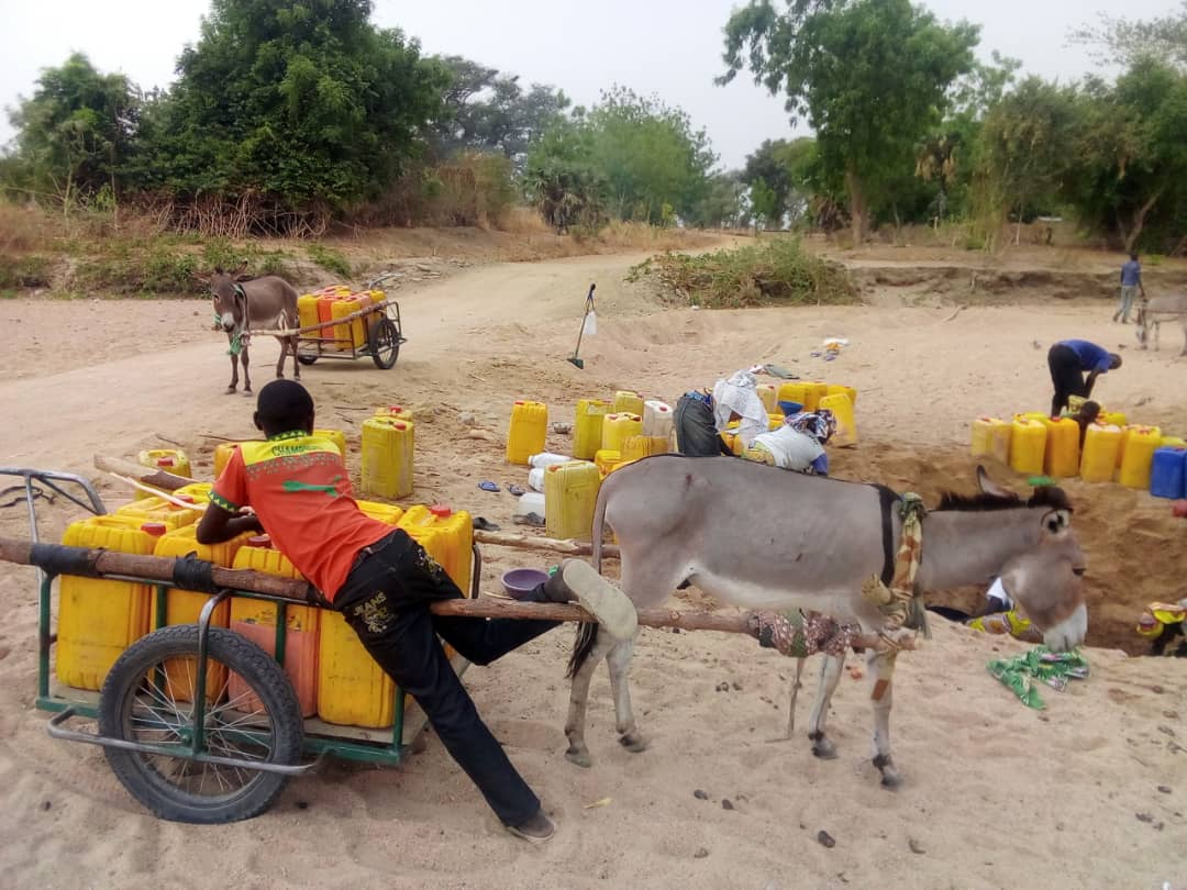 Action4youthEnv's tweet photo. They dig holes of 1 to 1,5 meters  before getting water to drink and cook. This is their daily life. We hope to get help, funds to build them as soon as possible water pump to end this worse journey
@Heliponix 
#UNICEF #SDGs
@UNDP 
@WestAfricaMWF 
@Action4youthEnv 
@Itspossible https://t.co/3ATOxLb9V6