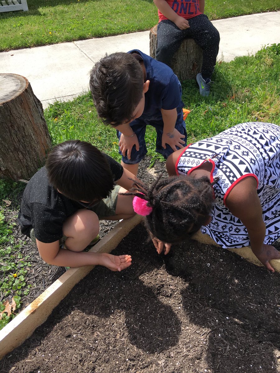 The first seeds get sown in the new Beech Tree garden!@fcpsGet2Green @hlwalnock @BeechTreeFirst