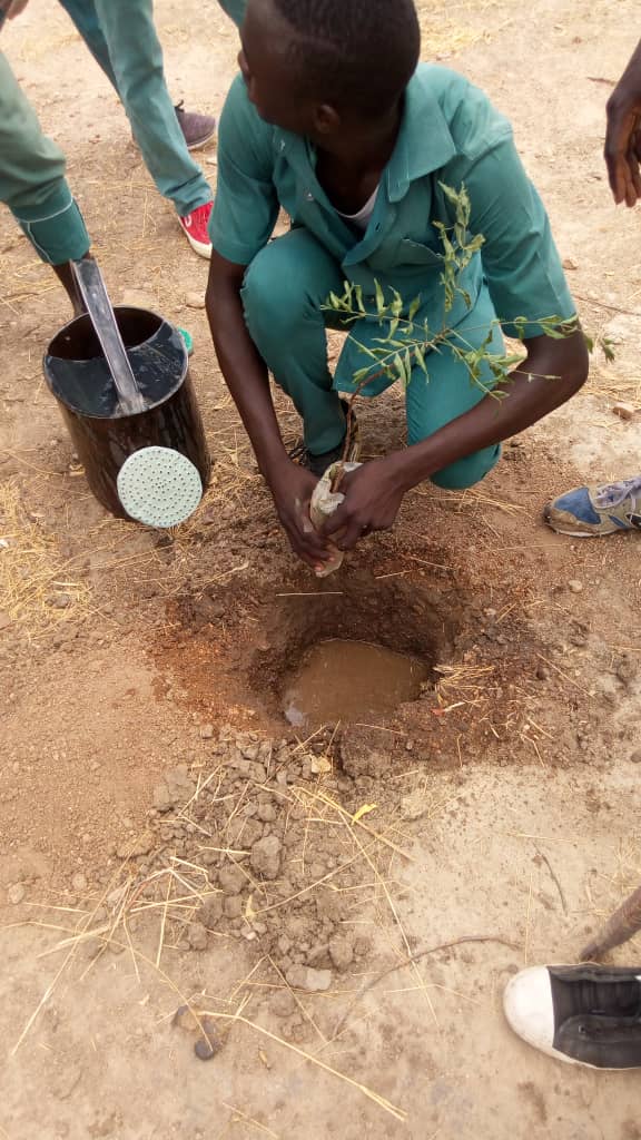 Action4youthEnv's tweet photo. We don't need billions to change the world but only small initiative. If we plant 1 tree a week, we can solve the probleme of climate change. We have decided to plant 1000 thousand trees in each village facing 9 months of dry season.
#UNICEF #SDGs 
@Voodart
@UNDP
@UN https://t.co/Kns1l0Kmol