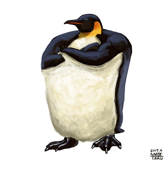 美しい花の画像 ラブリー皇帝ペンギン イラスト