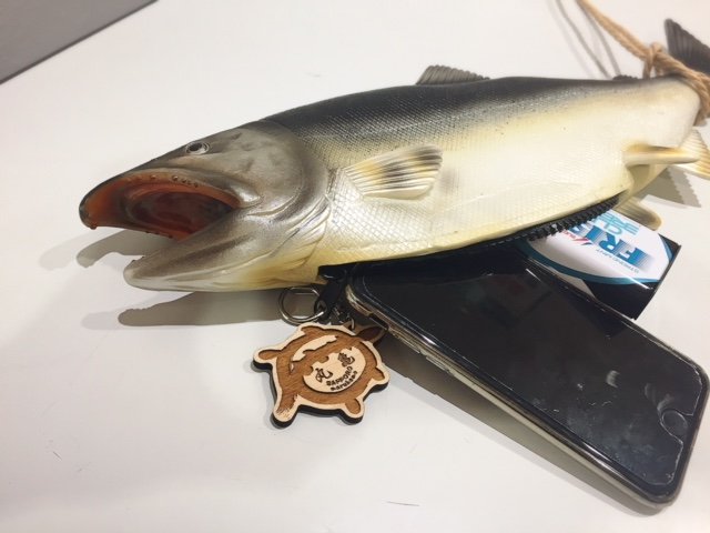 そごう広島店 Su Twitter おシャケな 丸亀 鮭バッグ が想定外の反応だったので 携帯とフリスクを入れてみました こんな感じです そごう広島店 Su Twitter おシャケな 丸亀 鮭バッグ が想定外の反応だったので 携帯とフリスクを入れてみました こんな感じです