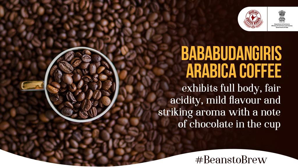 DoC_GoI's tweet photo. Bababudangiris Arabica coffee is grown specifically in the Baba Budan Giri hills near Chikmagalur, which is considered as the birthplace of coffee in India. #BeanstoBrew
@CimGOI @CoffeeboardI @APEDADOC @Brands_India @CIPAM_India @DIPPGOI https://t.co/yaZlcJggVo