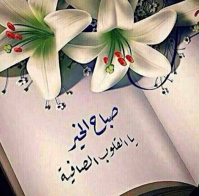 صباااااح الخير ...