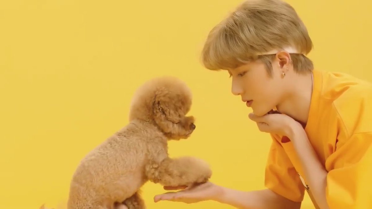 Чхве субин. Тхт кэт энд дог. Енджун. Енджун тхт. Кан тэхён txt.