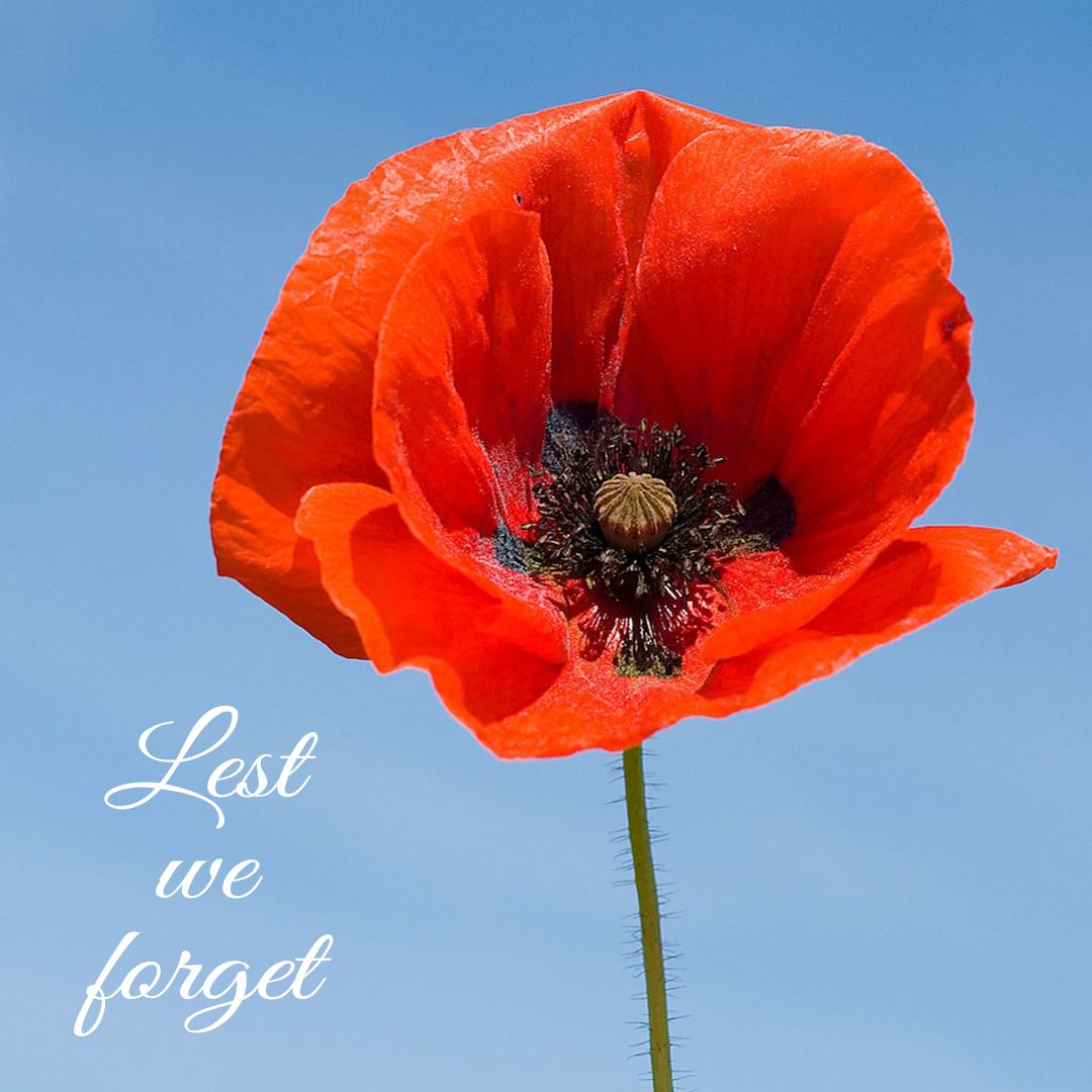 tripleeightaus's tweet image. We will remember them.

#tripleeightraceengineering #AnzacDay #LestWeForget