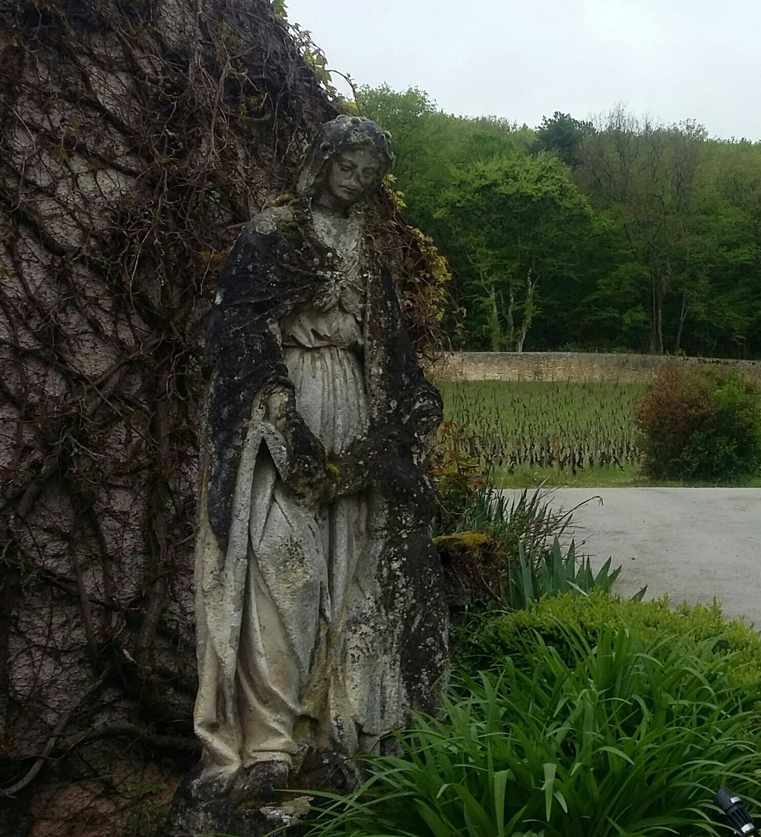 #Bourgogne #ChambolleMusigny Superbe statue, déesse de la terre,    #DomaineGeorgesRoumier, réputé ac ses mythiques #LesAmoureuses #wine #winelover