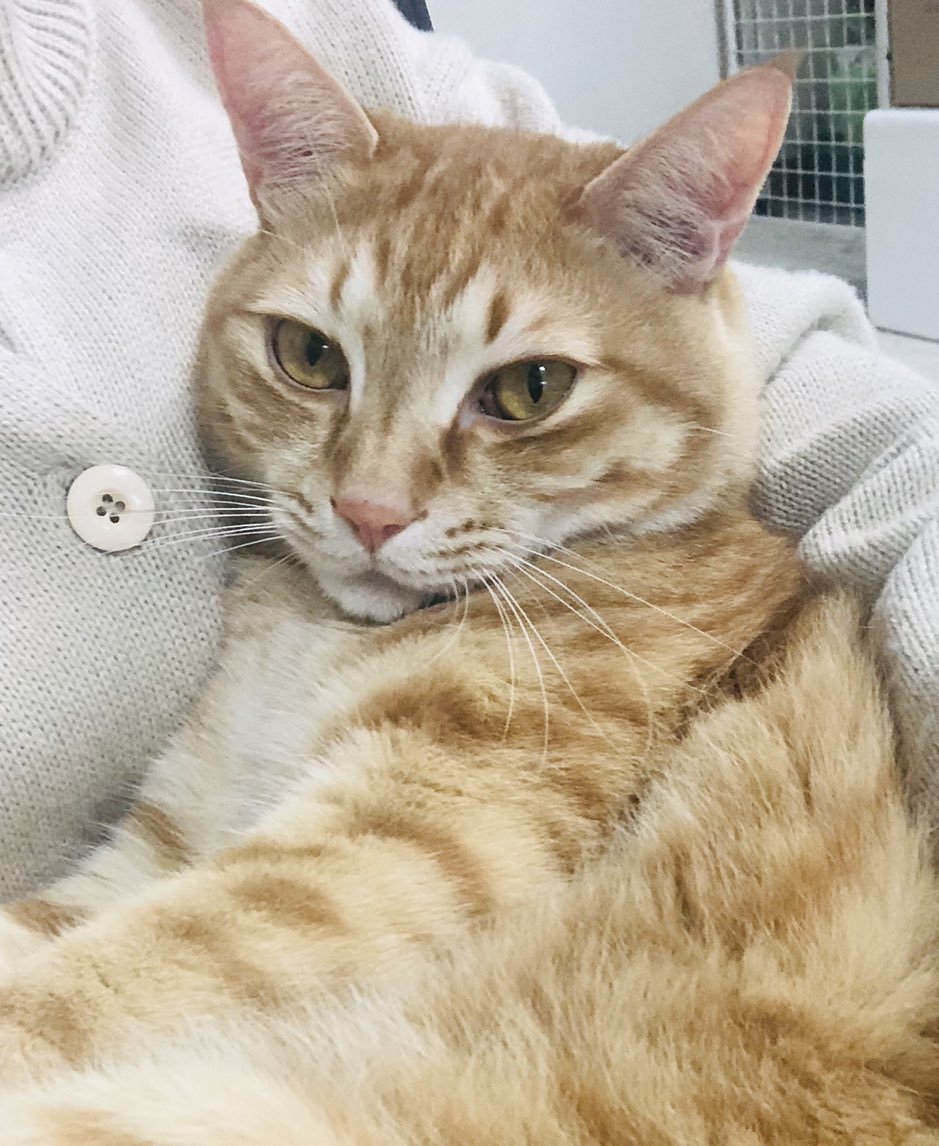 누나 품이 최고얌