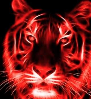 Красный огненный тигр. Тигр в огне. Тигр желтый. Тигра на желтом. Желтый и красный тигр.