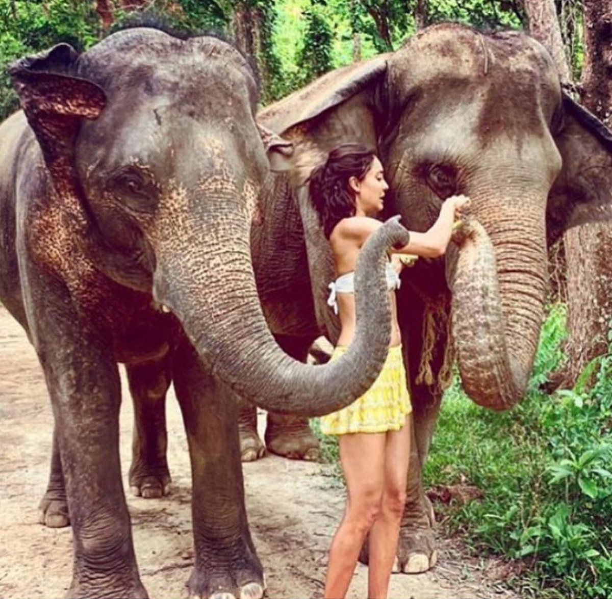 Tatile çıkan ünlüler arasında Lisa Haydon’da var 🏝 Oğlu Zack ile beraber 💗 #lisahaydon #Bollywood #BollywoodNews #BollywoodActress #BollywoodCelebs