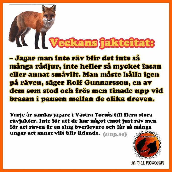 vargskydd's tweet photo. #revolutionrov
#Exposetrophyhunters
#Standtogetherforwildlife
#SaveSweWolves #Exitionctionisforever #thereisnoplanB https://t.co/s1yfYfhqqS