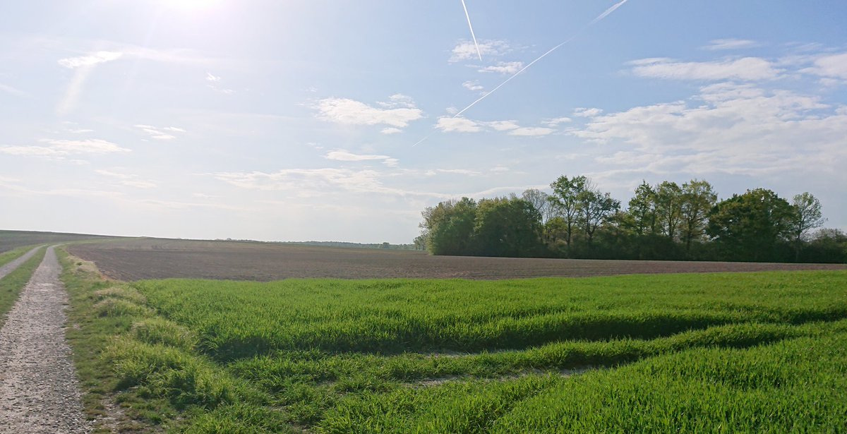 gaellecestmoi's tweet photo. #bonjour ma tl 
#JeudiPhoto 
Un peu de chez moi dans ce monde vaste du réseau social, ma campagne, si calme un environnement idéal peuplé d'êtres sans âmes. Quel dommage ! https://t.co/ISsevVJg4c