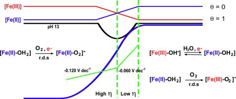 iqf_csic's tweet photo. #IQFRPaper Elucidating the mechanism of the oxygen reduction reaction for pyrolyzed Fe-N-C catalysts in basic media @Fquimica_UC @fqybusach https://t.co/JScOTuB10A
#OxygenReductionReaction #Mechanism #PyrolyzedCatalysts #RedoxPotential #CyanidePoisoning https://t.co/IfeuecZ0eT