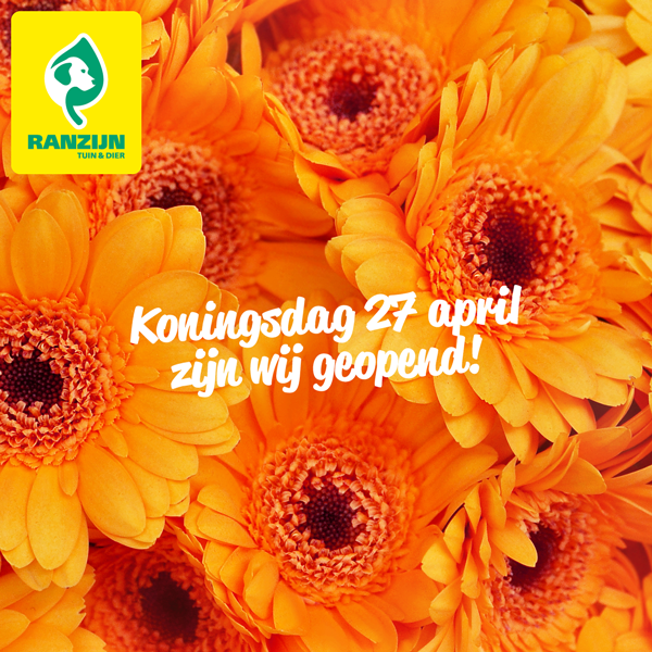 Ook met Koningsdag is Ranzijn gewoon geopend! 👑 Onze openingstijden zijn wel iets aangepast, wij zijn van 9-17.30 uur* geopend. 🇳🇱
* M.u.v. Ranzijn Amsterdam en Rotterdam, deze zijn geopend tot 18.00 uur.