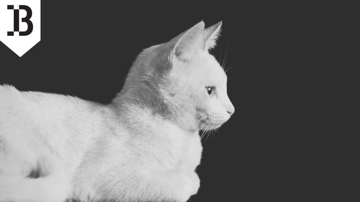 Many of our prospective clients ask us what’s the key ingredient to a successful #employerbranding strategy. I would probably go for creating a “#goodplacetowork”. This is different depending on the company, and an #employeesurvey will just do the trick for finding out what it is