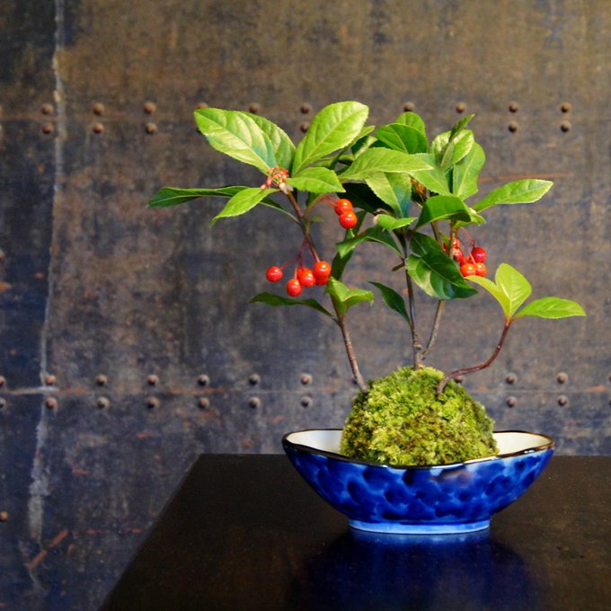 Farmerのtwitterイラスト検索結果 古い順