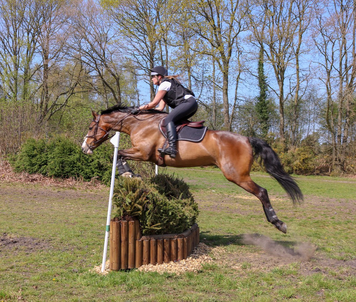 Pennymessenger's tweet photo. Fab Friday @twesledown cross country #britisheventing #equestrian https://t.co/GBhipGPIKc