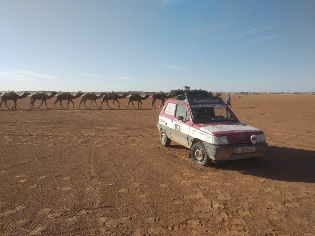 Duacode's tweet photo. ¡La Oasis Raid 2019 continúa! Este lunes nuestro equipo ha tenido un pequeño susto con el coche pero... 💪💪¡todo controlado! ¡seguimos! 💪💪
#duacode #oasisraid2019 #oasisraid #raidsolidario #solidaridadMarruecos #turismoaventura #rallymarruecos #aventurapormarruecos #marruecos https://t.co/7WozDnkUBE