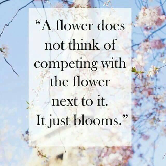 Phina UT tweet media