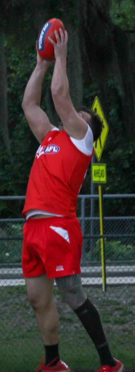 “LAW FIRM” OFFENSE PROPELS BLOODS stpeteswans.com/team-news/law-…