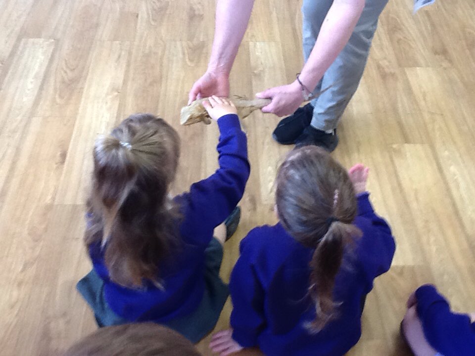 HillcrestNurs's tweet image. Nursery have enjoyed seeing the different animals in the cabin this morning. Lots of brave children. Thanks @animalsukltd #EYFSTheWorld